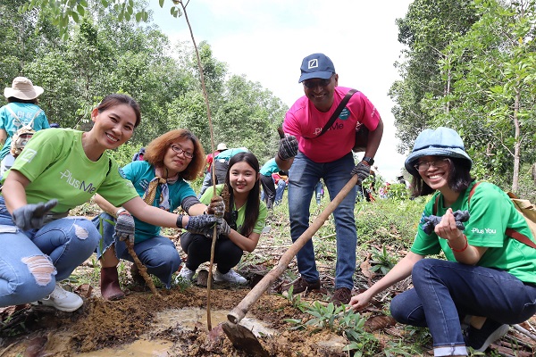 Tree planting in Vietnam